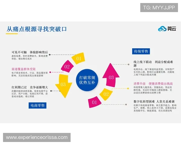 飞驰地址对传统商业模式变革的影响与应对策略